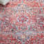 Tapis oriental rétro lavable à la machine Serapi Performance-1488828958