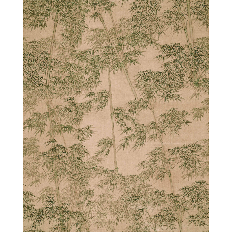 Fumée de parchemin BAMBOU, Vert / Brun clair