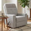 Skio Recliner