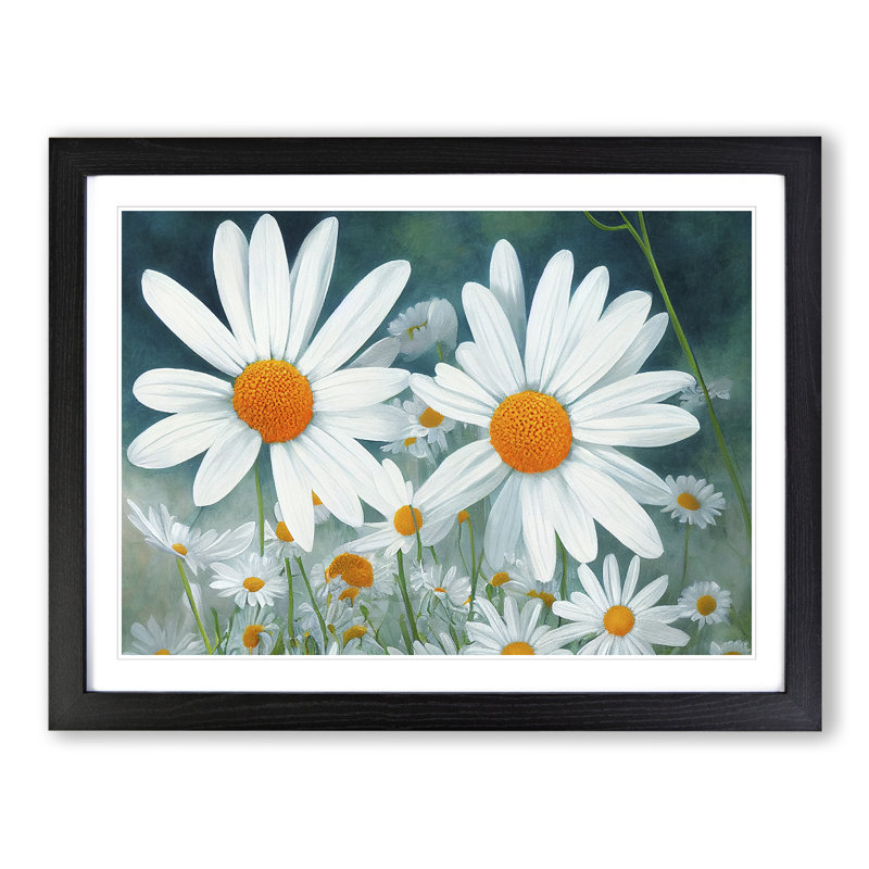 Daisy Flower Vol.1 - Framed Print, Black, 46cm H x 64cm W x 2cm D