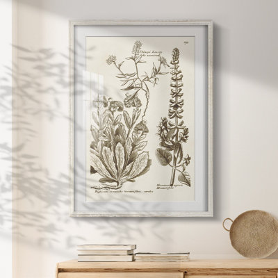 Andromeda -Gallery Wrapped Canvas