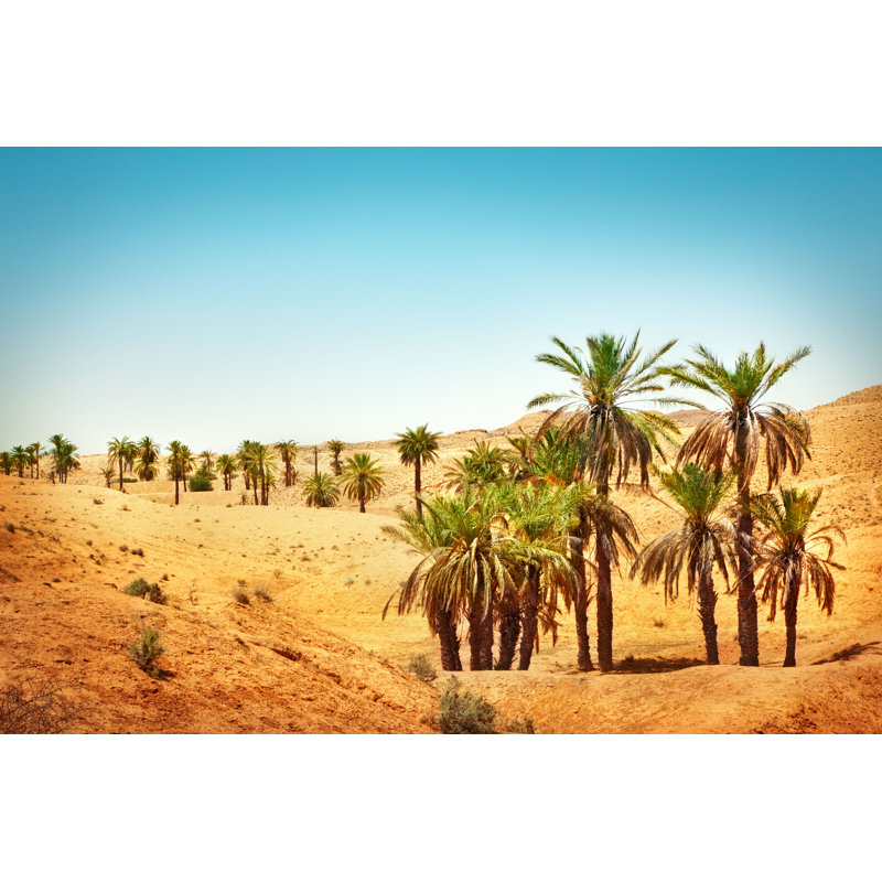 " Sahara Desert ", 8" H x 12" W  