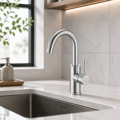 ROBOHIGH Kitchen Faucet Side Spray
