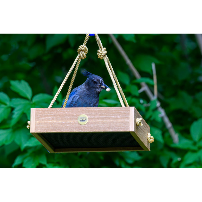 Mangeoire d'oiseaux Birds Choice, Teck naturel