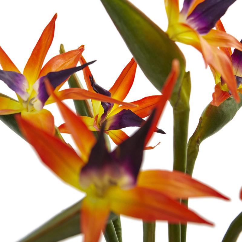 Arrangement floral en soie oiseau de paradis en pot