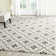 Rodrigez Hand Hooked Performance Geometric Rug