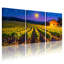 «Abstract Vineyard Under Starry Night Sky», ensemble de 3 reproductions d'art sur toile-47992332