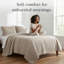 Ensemble de courtepointe réversible surdimensionnée et légère avec taies décoratives Southshore Fine Linens-65573752-40261343