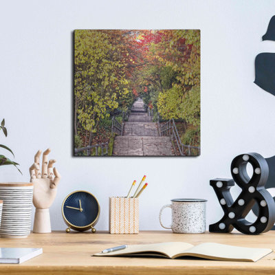 «Autumn Tunnel» par Colby Chester