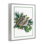 Giclée de Noël caille et sapin de Noël, design par Nancy Overton