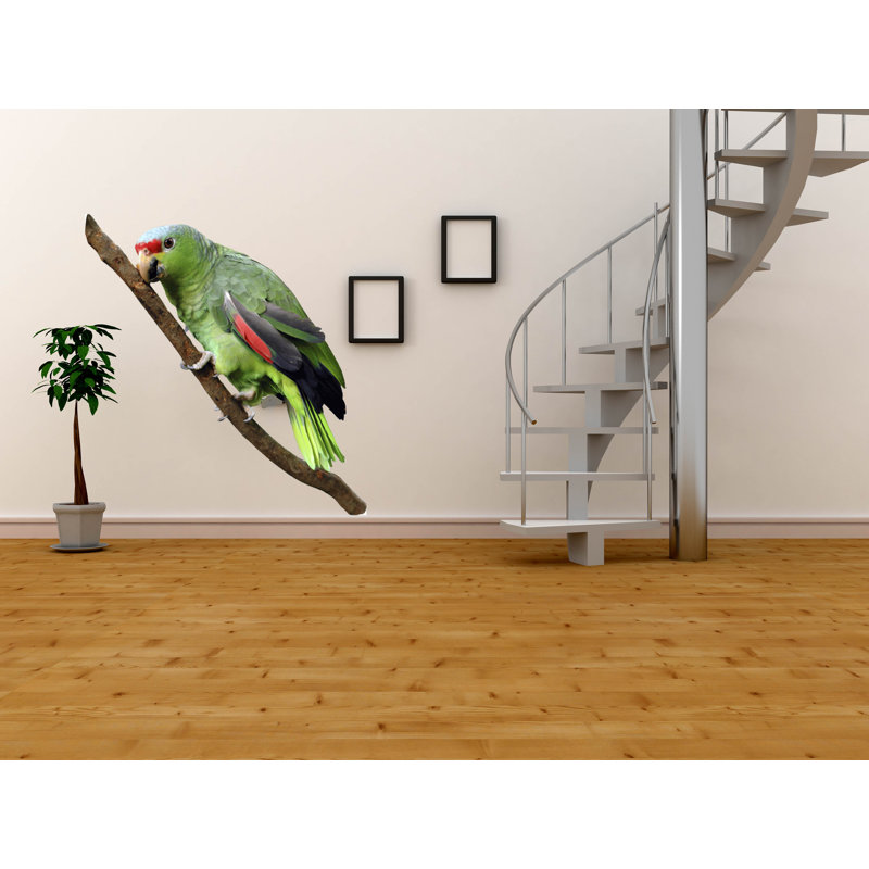 Adhésif décoratif perroquet II, H 84 po x l 29 po