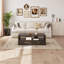 Table basse Mid-Century avec rangement, noyer