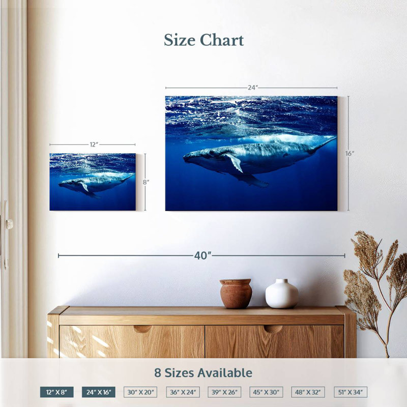 Brampt Humpback Whale Below Surface, 16'' H x 24'' W