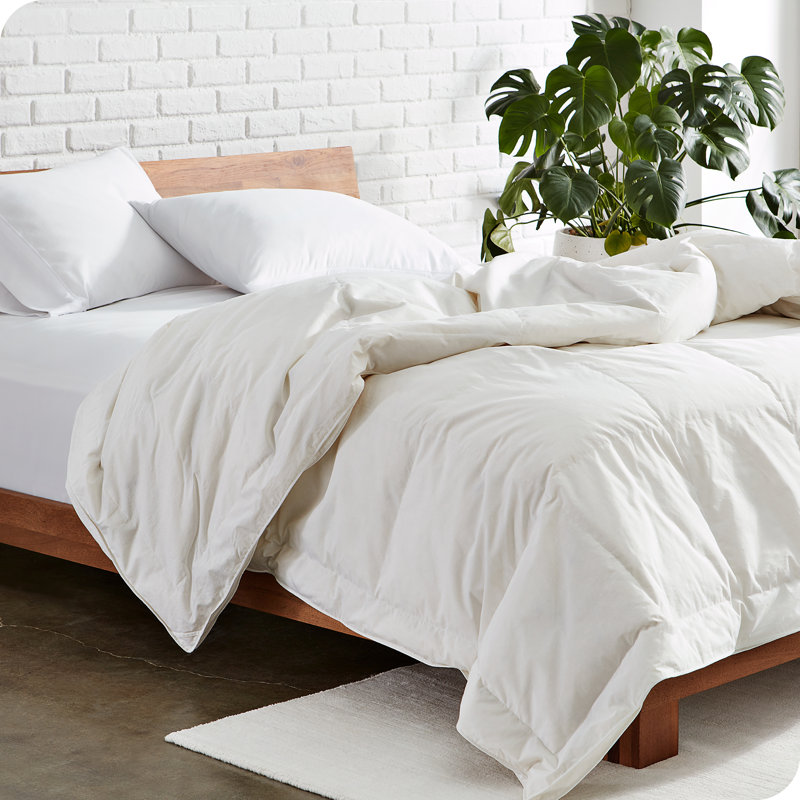 Full/Queen White Down Comforter with Cotton Shell