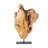 Araly Sculture