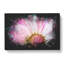 Pink Daisy Flower - Wrapped Canvas-56640791