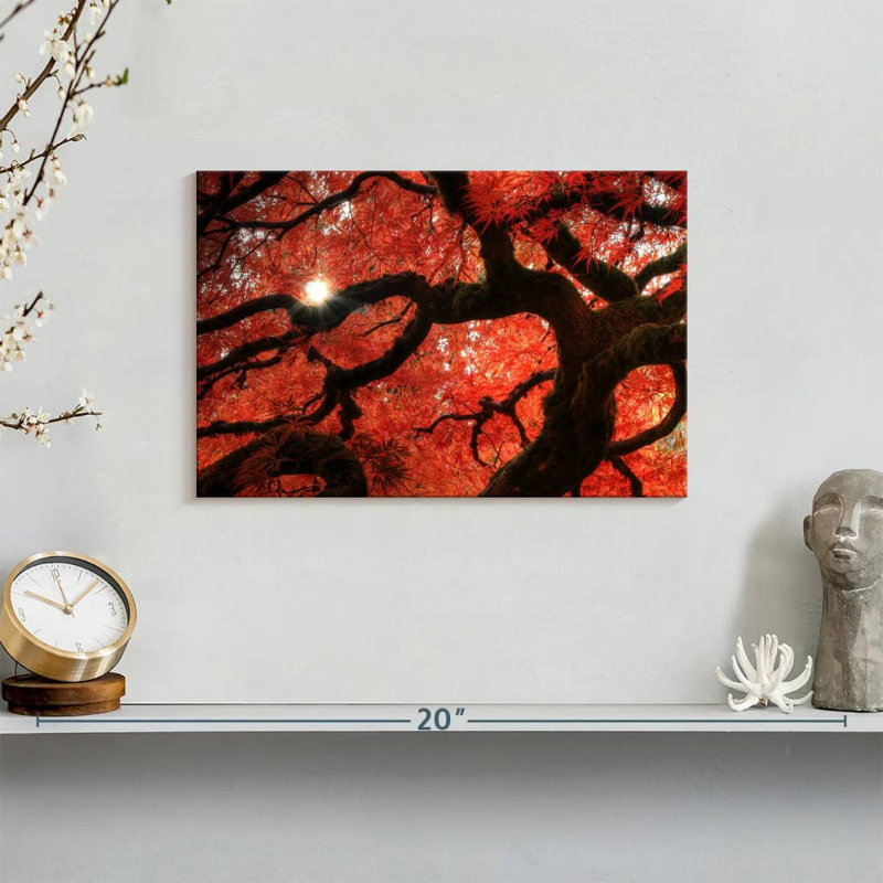 Harnek Red Maple Tree, 8" H x 12" W