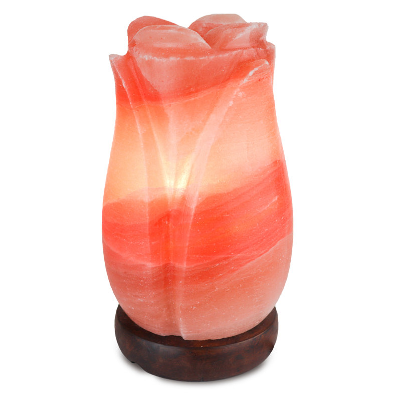 Lampe à sel 5 lb Rose