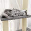 Ruislip 155cm H Cat Tree-1482694972