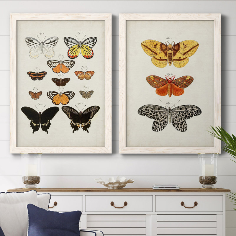 «Vintage Butterflies III», ensemble de 2 reproductions d'art sur toile encadrées, Toile blanche encadrée