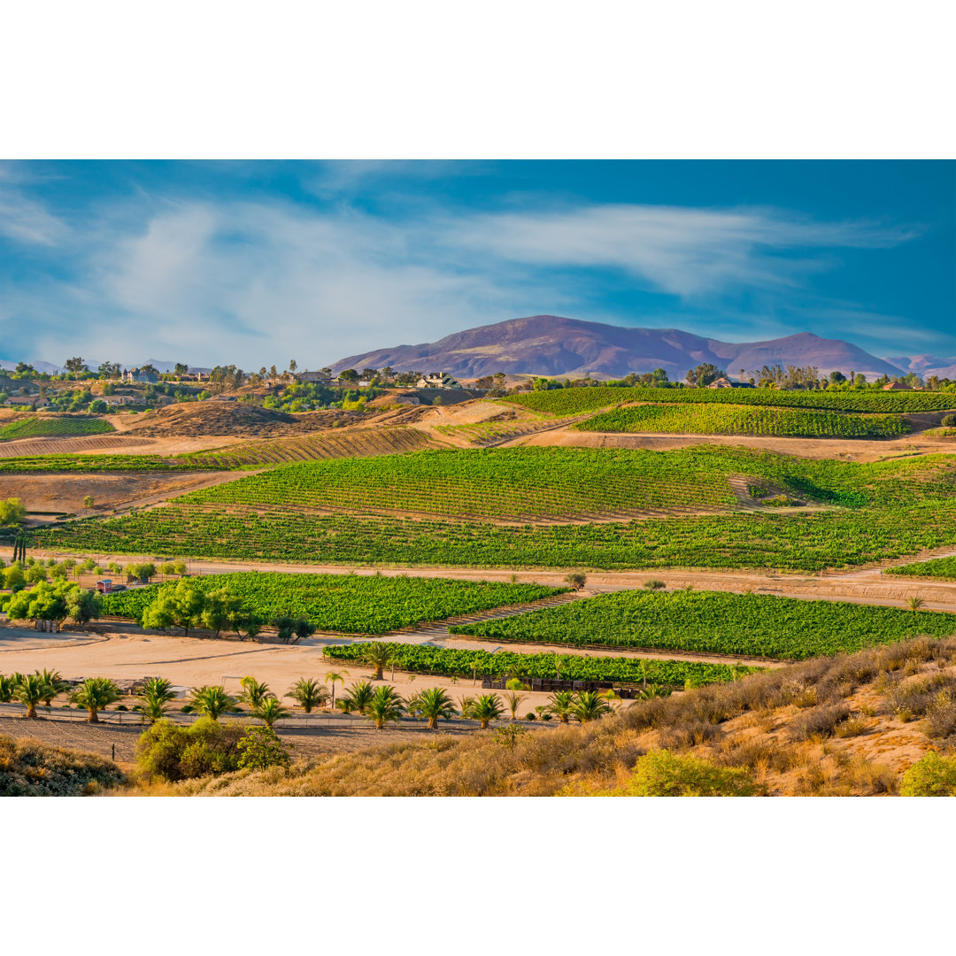 Temecula Valley von Patricia Elaine Thomas - Kunstdrucke auf Leinwand