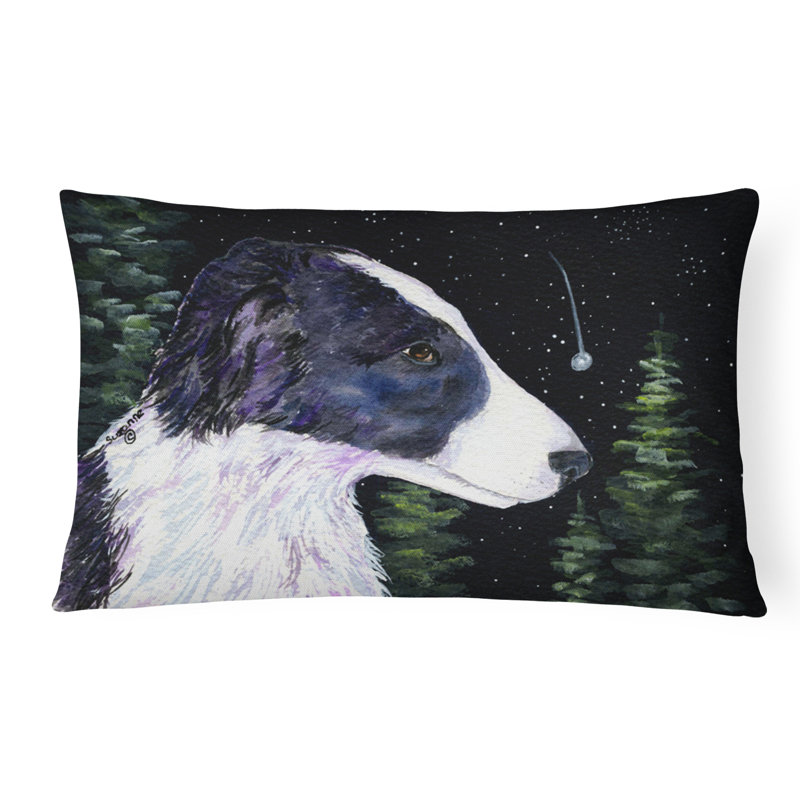 Coussin décoratif intérieur / extérieur Starry Night Border Collie