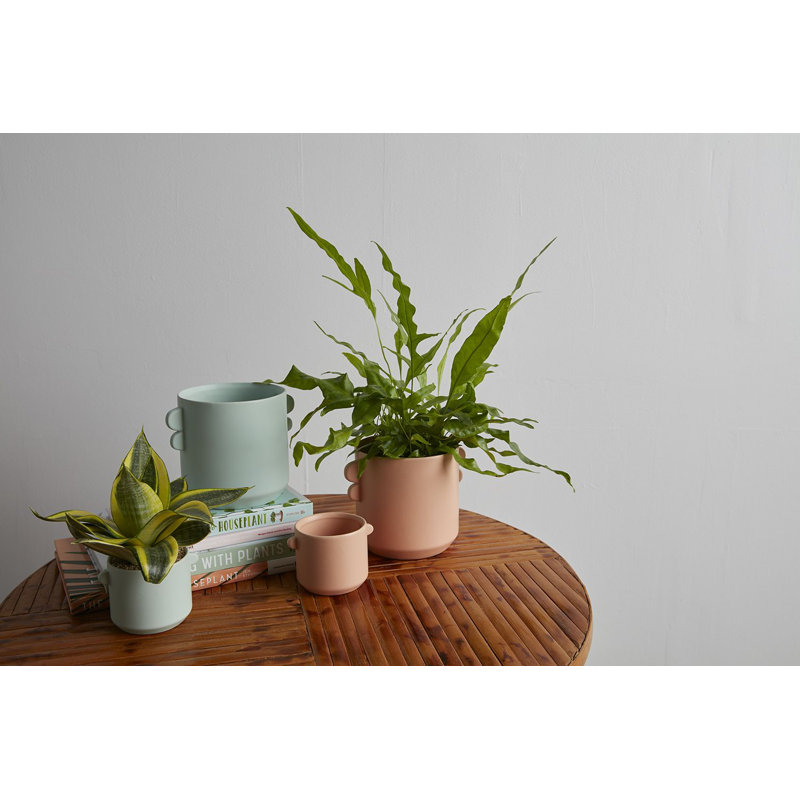 Pot de fleurs en céramique Vallon, H 2,75 po x l 4 po x P 3 po, Orange