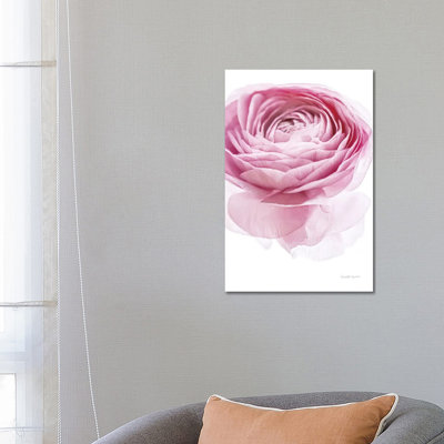 Pink Lady I by Elizabeth Urquhart - Wrapped Canvas Gallery-Wrapped Canvas Giclée
