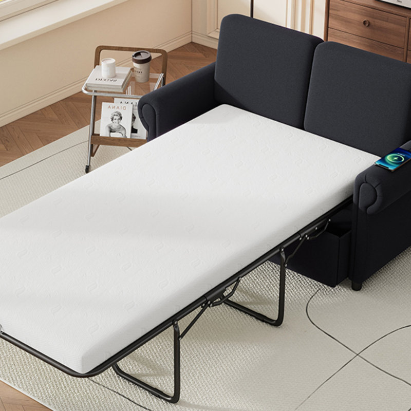 Siofra 57.5" Pull Out Sofa Bed Loveseat Sleeper with Twin Size Memory Mattress for Living Room Spaces, Black