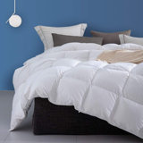 100% Cotton Cover All Season Premium Down & Feather Blend Comforter