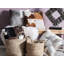 Leverett Abstract Square Cushion