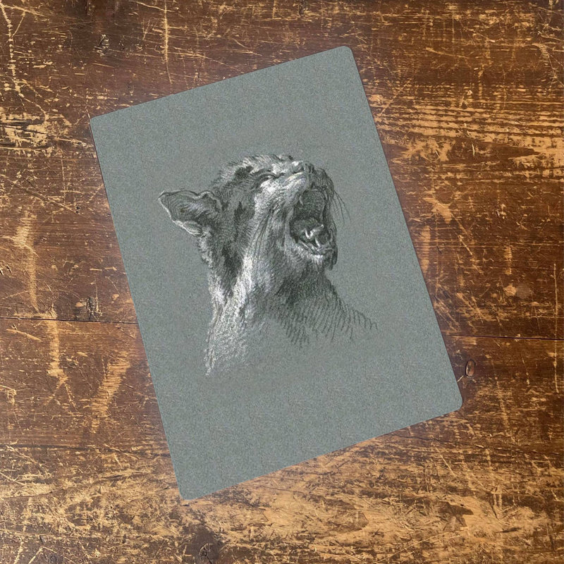 Cat Meowing Illustration 1 Piece Wall Art, 40cm H x 28cm W