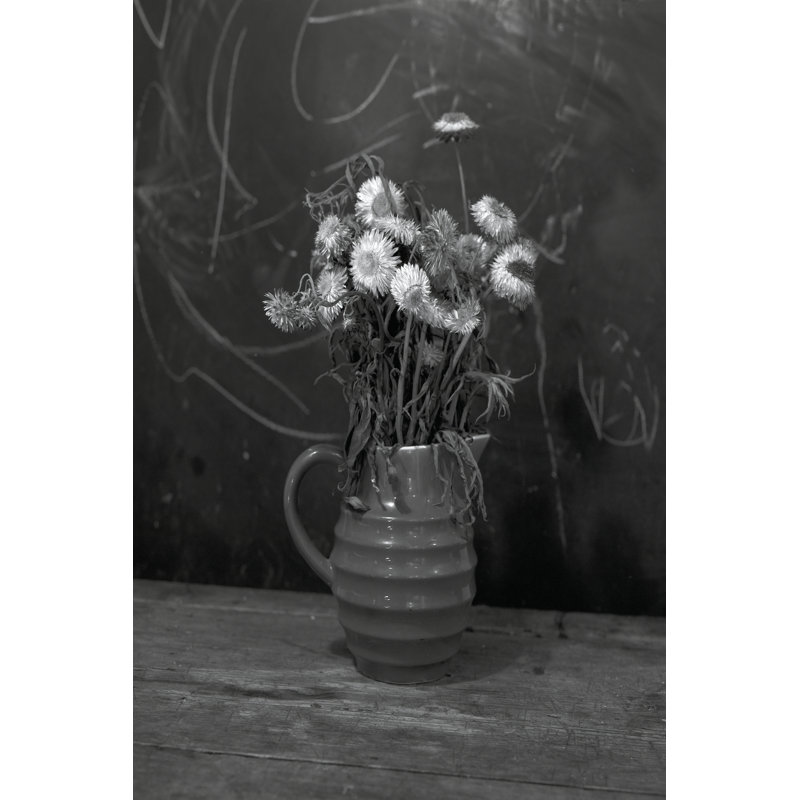 Taneha Fading Bouquet by Tony Smith - Wrapped Canvas Photograph, 122 cm H x 81 cm W