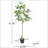 ARTIFICIAL PACHIRA MACROCARPA-1014235593