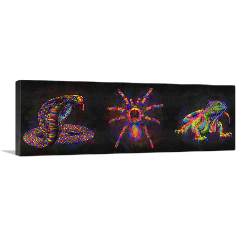 Cobra Snake Tarantula Spider Iguana lézard - impression sur toile panoramique, H 20 po x l 60 po x P 1,5 po