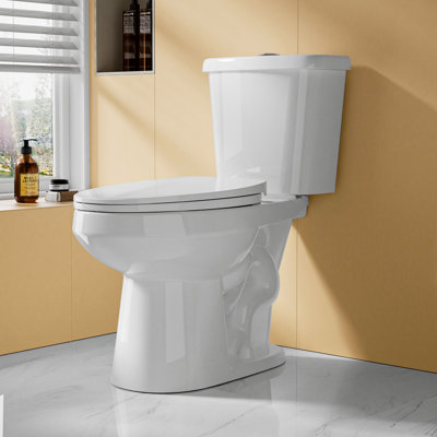 Grande toilette allongée 17 po ADA 1,1 / 1,6 GPF pour les personnes âgées, 1000g, blanc