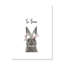 Le lapin est courage-48187579-48187576