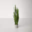 Artificial Sansevieria Snake Plant in Pot-1454465283