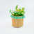 Vert menthe est en rupture de stock