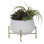 Faux Plant in Glass Planter