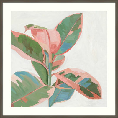 Pink Ficus I Print by Asia Jensen