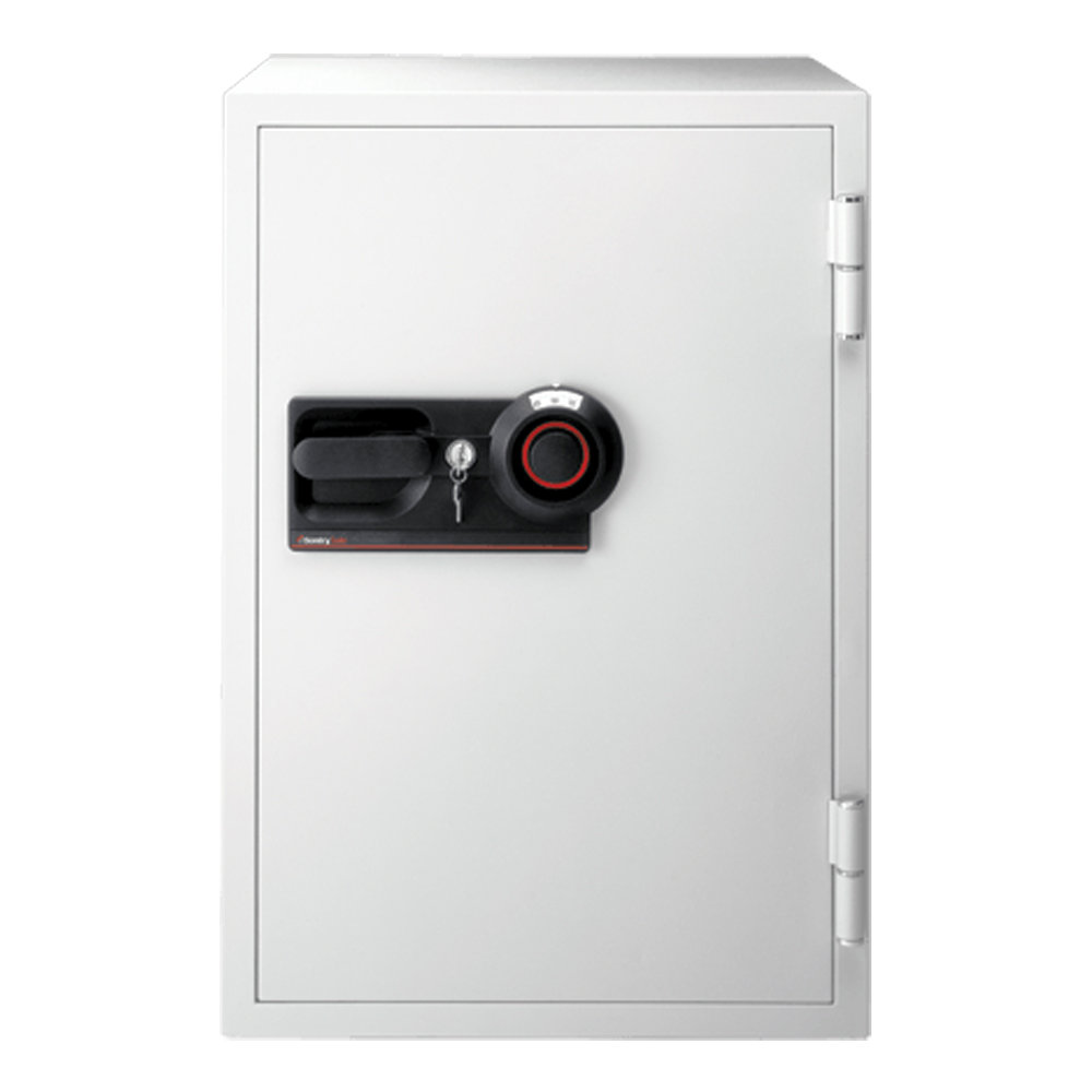  SentrySafe Business Fire Security Safe with Dual Lock Sentry Safe 