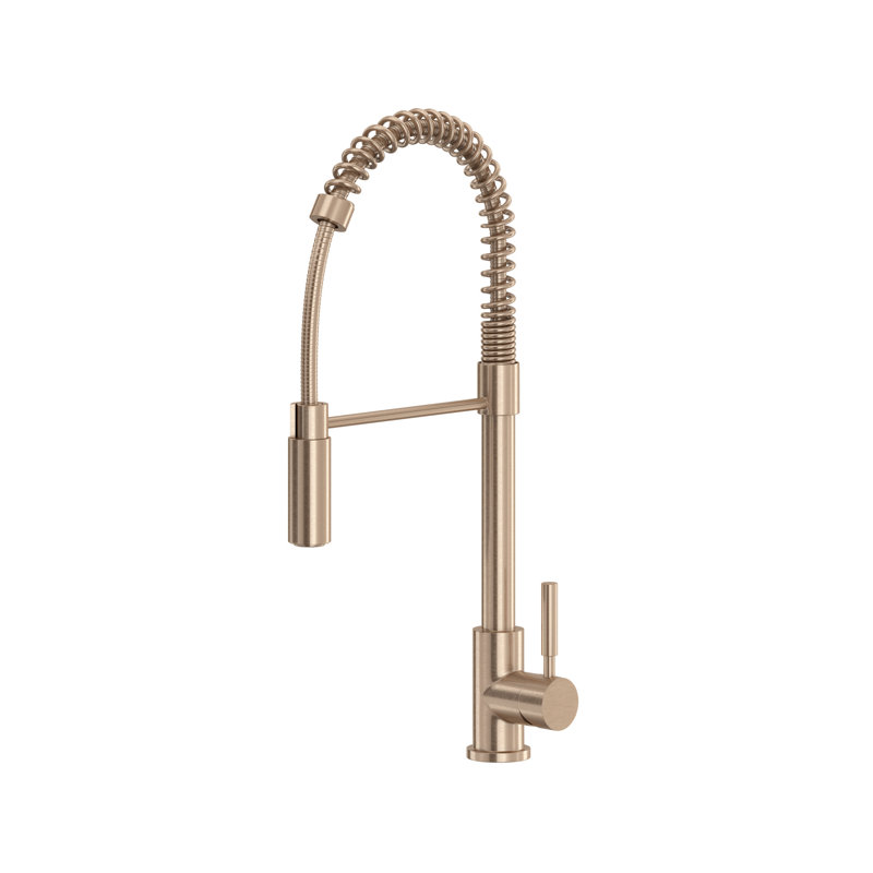 Lux Pull-Down Single Handle Kitchen Faucet with Accessories, Vintage Gold