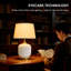 21" Dimmable Ceramic Table Lamp With Gold Metal Accents & Beige Linen Drum Shade