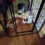 Customer photo 4 of 6