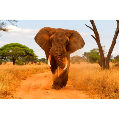 Elephant Is Walking by Hannesthirion - Wrapped Canvas Print