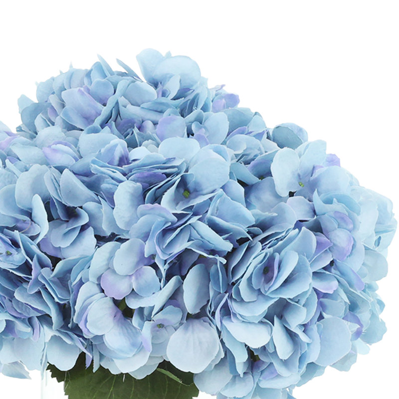 Hydrangeas in Glass Vase