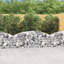 Bahand Metal Raised Garden Bed-226461062