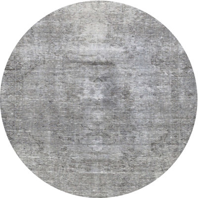 Alben Oriental Indoor Rug
