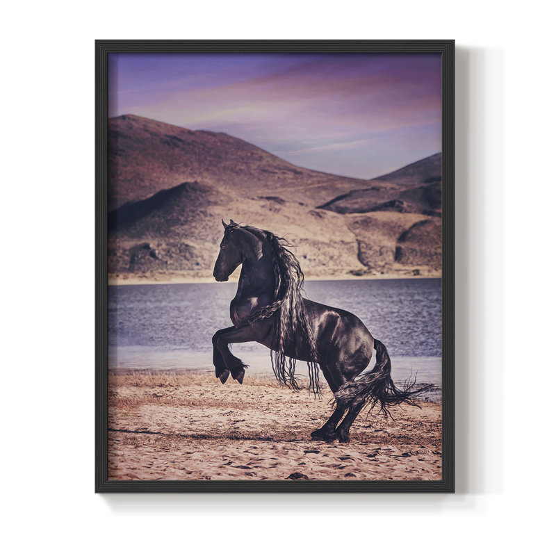 Sunlit Horses II, reproduction encadrée - bois massif, Noir, H 10 po x l 8 po